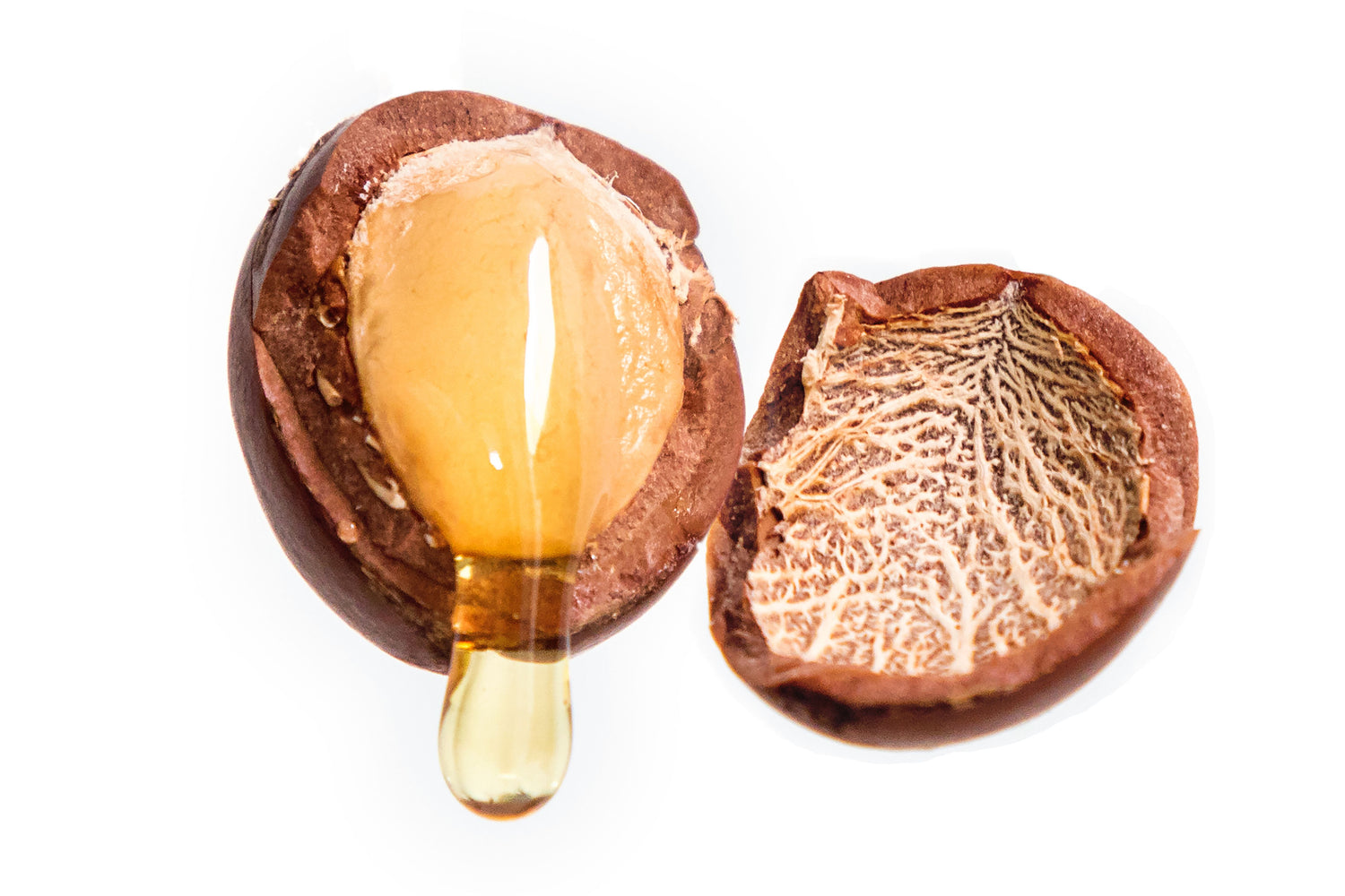 Shea Nut Oil | Why It's So Beneficial